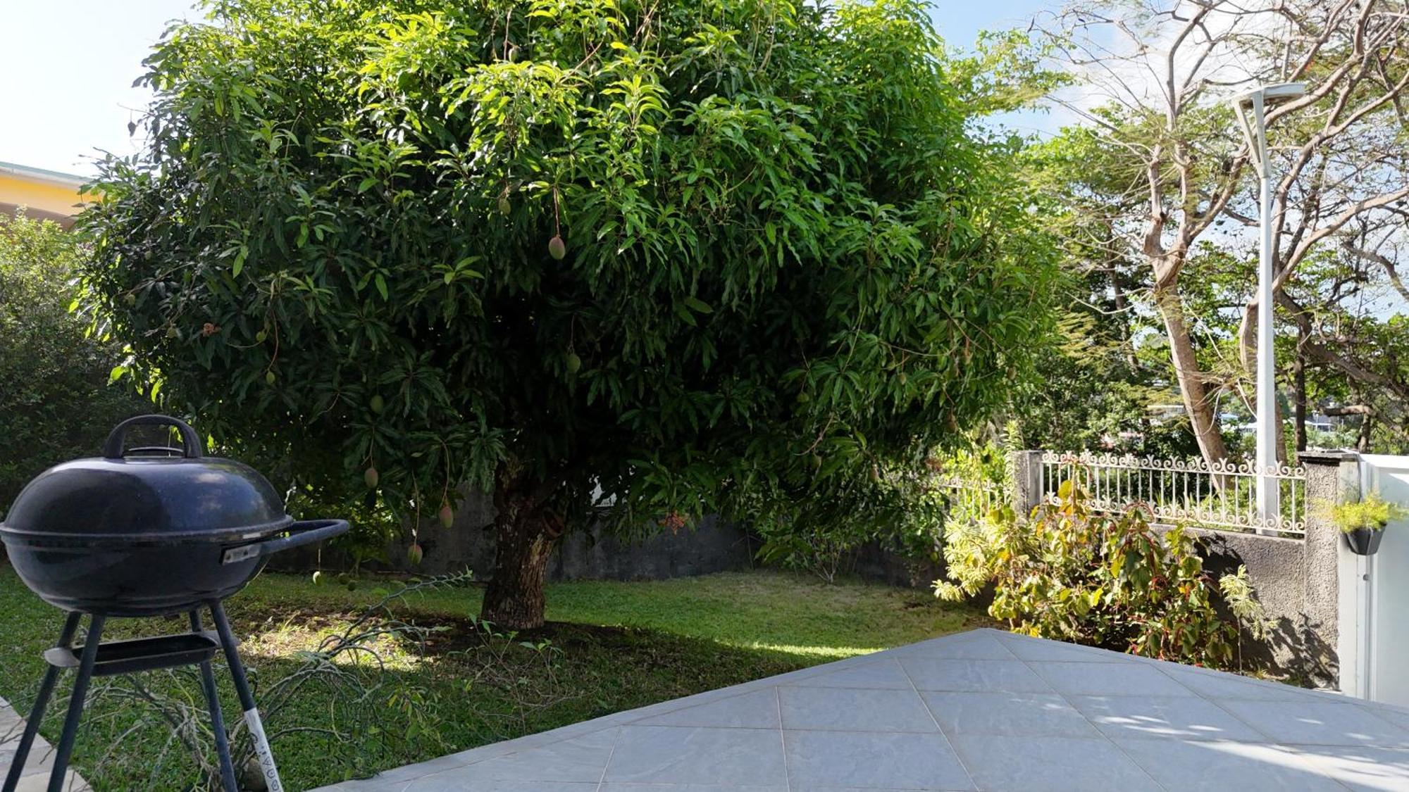Tropical Paradise La Marina Le Gosier  Exterior foto